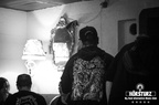 IMG 0672-b